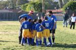 C-Elephants  0043_resize
